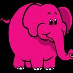 little elephant